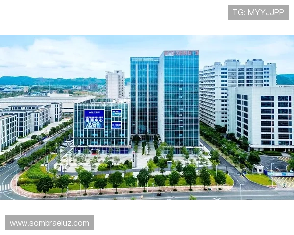 凯发集团官网首页：多渠道登录方式与账户安全保障措施详尽说明