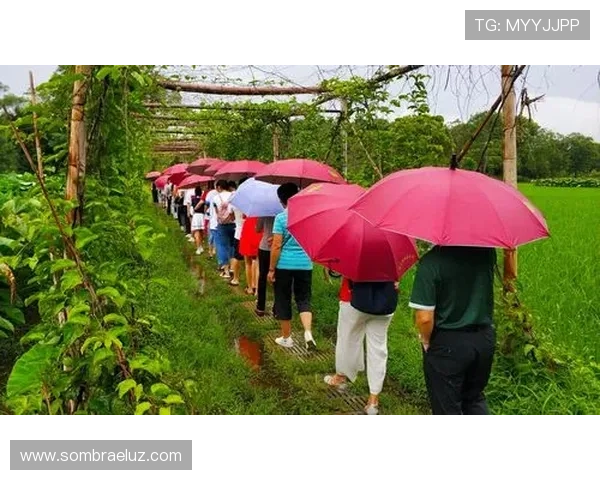 凯发真人版会员注册流程详解助你轻松开启线上娱乐新体验